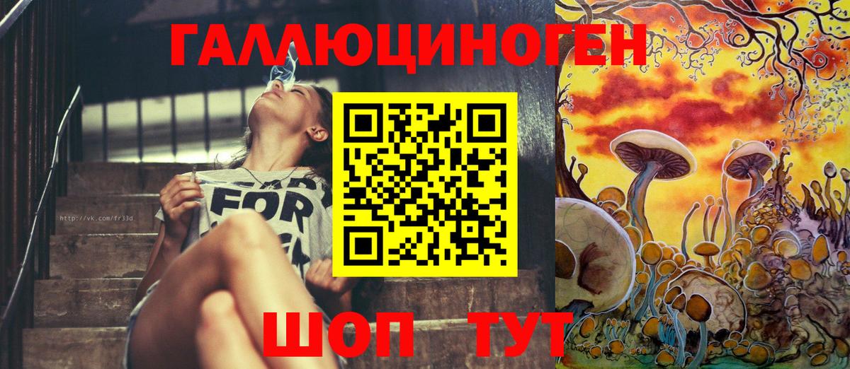 Псилоцибиновые грибы Psilocybine cubensis Абакан